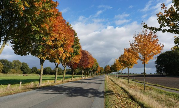 Durable temporary road mats for every access need